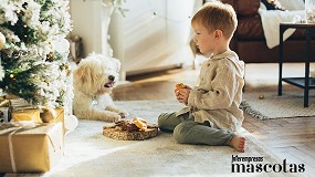 Foto de Concienciar y educar antes de adoptar: el mejor regalo para nuestros hijos estas Navidades