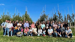 Proyecto BeXyl: avances en la lucha contra Xylella fastidiosa