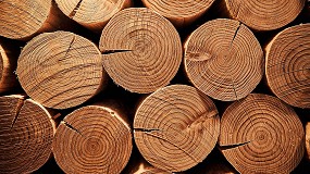 Las soluciones de madera, en el centro del futuro de la vivienda en Europa