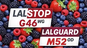 Foto de Massó Agro: la innovación y liderazgo en microorganismos beneficiosos entra con fuerza en los frutos rojos