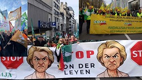 Foto de Miles de agricultores europeos protestan en Bruselas contra los recortes de la PAC y el acuerdo con Mercosur