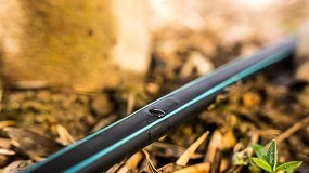 Foto de Un riego de precisión, clave para la sanidad y rentabilidad del cultivo del pimiento