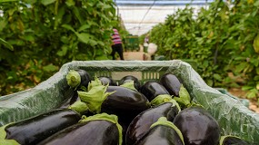 Foto de La agricultura ecol�gica en Espa�a, en fase de madurez y expansi�n