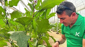 Foto de El Parlamento Europeo apoya un acceso m�s r�pido al biocontrol