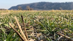 El MAPA y la AEACSV renuevan su alianza para impulsar la agricultura de conservaci�n en Espa�a