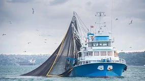 Foto de Parlamento Europeu quer acelerar descarboniza��o das pescas com renova��o da frota e novas regras