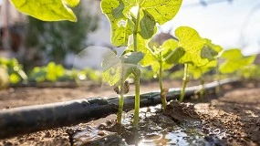 Foto de Quatro projetos agr�colas promovem gest�o sustent�vel da �gua e do solo com apoio da Funda��o Gulbenkian