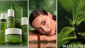 Foto de Aveda presenta Advanced Botanical Kinetics, una nueva generación de cuidado facial botánico de alto rendimiento