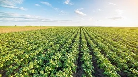 Foto de Balance de aplicación del PEPAC basado en el informe anual de rendimiento 2024: Resultados sobre el papel, dudas sobre el terreno