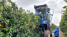 Foto de CIVAC-19: una nueva etapa en la intensificación eficiente de la citricultura mediterránea