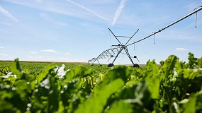 Foto de La fertilizaci�n como palanca de sostenibilidad en la remolacha azucarera europea