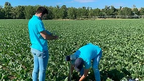 Foto de Proyecto de riego AIQUATECH: incremento del rendimiento y la rentabilidad del cultivo de remolacha