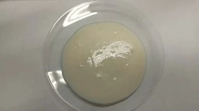 Foto de Fibra da vagem de ervilha permite desenvolver molho vegetal est�vel sem aditivos