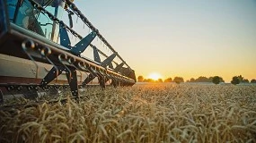 Foto de Tras la abundancia, llega la incertidumbre: ¿Qué factores influirán en los precios de los cereales en 2026?