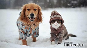 Foto de El fr�o polar tambi�n afecta a las mascotas: c�mo proteger su salud digestiva, articular y dermatol�gica en invierno