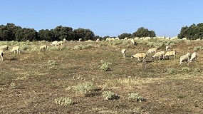 Un ambicioso proyecto busca la adaptaci�n de la ganader�a al cambio clim�tico