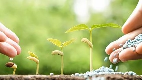 Foto de Entrada en vigor del CBAM: la industria española de fertilizantes reclama un marco regulatorio adecuado