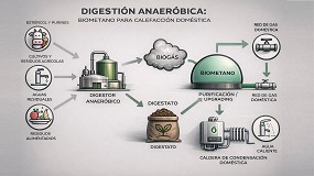 El biometano como vector clave en la descarbonizaci�n