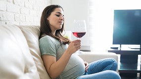 Foto de �Qu� piensa el consumidor de los vinos desalcoholizados?