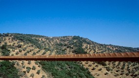 Los olivareros de Adamuz ayudan a las v�ctimas del accidente de tren