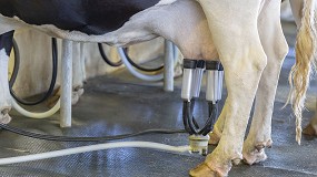 Foto de Publicada la versi�n actualizada del programa de cr�a de la raza bovina Frisona