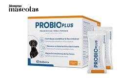 ProbioPlus, el primer suplemento con concepto triplebi�tico m�s vitamina B12 para el bienestar digestivo de los perros