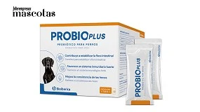 Foto de ProbioPlus, el primer suplemento con concepto triplebiótico más vitamina B12 para el bienestar digestivo de los perros
