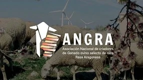 Foto de La Feria Churra acogerá el hermanamiento entre la raza Churra y la Rasa Aragonesa
