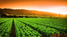 Nuevos avances en la evaluaci�n del impacto de la sequ�a y las necesidades de riego en agricultura