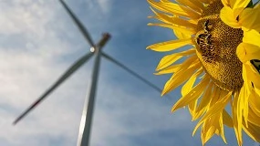 Foto de Entre o mito e a realidade: porque as renov�veis n�o s�o o inimigo do territ�rio