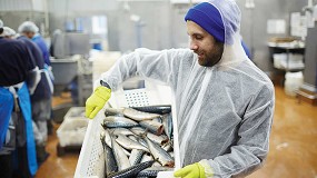 Foto de El 88% de las empresas de productos del mar prev� crecer en ventas en 2026