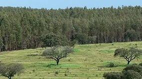 Foto de Navigator renova classifica��o m�xima nos rankings globais do CDP