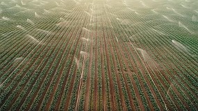 Foto de AWS y Agrow Analytics permiten ahorrar hasta un 50% de agua en explotaciones agr�colas