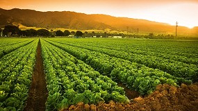 Nuevos avances en la evaluaci�n del impacto de la sequ�a y las necesidades de riego en agricultura