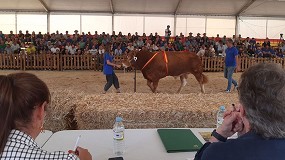 Foto de Aprobado el Calendario Oficial de Cert�menes Ganaderos para el ejercicio 2026
