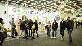 Foto de Frutas e legumes portugueses abrem o apetite aos mercados internacionais