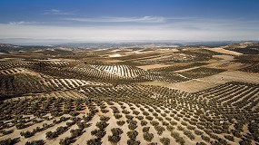 Foto de Cultivos de alto valor y hortícolas, protagonistas del cambio en el mapa de cultivos de España en la última década