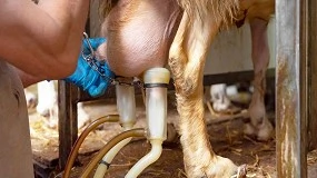 Foto de Del cubo a un futuro ¿con robot?