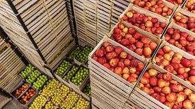 Foto de Comiss�o Europeia cria grupo para refor�ar controlos a alimentos importados