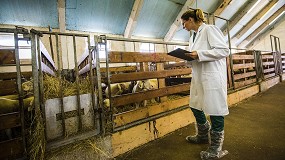 Foto de La receta veterinaria del futuro: cambios en la normativa sobre medicamentos veterinarios