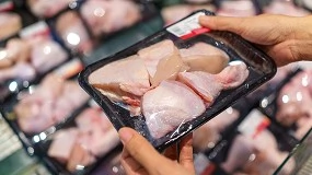 Foto de Crescimento da ind�stria av�cola global mant�m ritmo em 2026, indica Rabobank