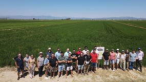 Foto de An�lisis agron�mico del cultivo de arroz en el Delta del Ebro: factores clave para una producci�n sostenible