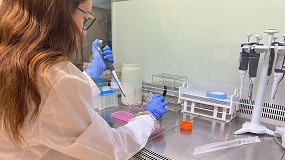 Un estudio precl�nico valida el potencial neuroprotector de la piel de la cebolla roja, las hojas de achicoria y las podas de vi�a y olivo