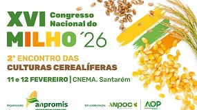 Foto de Congresso Nacional do Milho debate futuro da agricultura e dos cereais