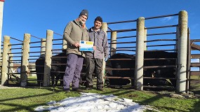 Foto de Inseminaci�n artificial en novillas de Avile�a-Negra Ib�rica para el proyecto Smartfarmrani