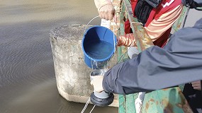 Foto de Cinco a�os de ciencia ciudadana confirman la presencia de micropl�sticos en la mayor�a de r�os y playas de Espa�a