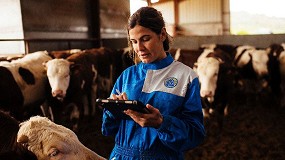 Provacuno lanzar� una app para medir la huella de carbono del vacuno de carne en Espa�a