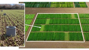 EuroChem explica en FIMA c�mo reducir la huella de carbono con los fertilizantes ENTEC