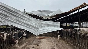 Foto de Produtores de leite pedem apoio c�lere ao Governo