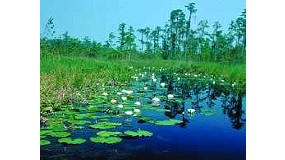 Foto de La Industria Qumica y el Medio Ambiente